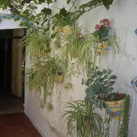 Maison d'hôtes Versalles *